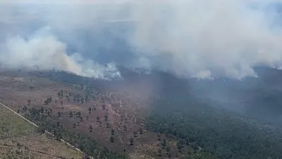 Almaniyada meşə yanğınları ilə mübarizə davam edir