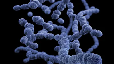 Süni intellekt antibiotiklərə davamlı E. coli-ni məğlub etdi