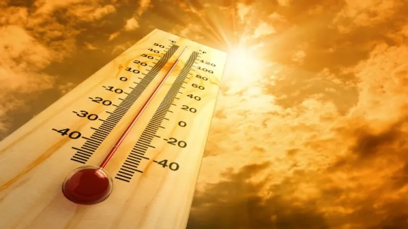 İsti hava ilə bağlı işəgötürənlərə xəbərdarlıq