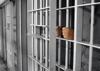 Məhkumlar da icbari tibbi sığortaya cəlb olunacaq
