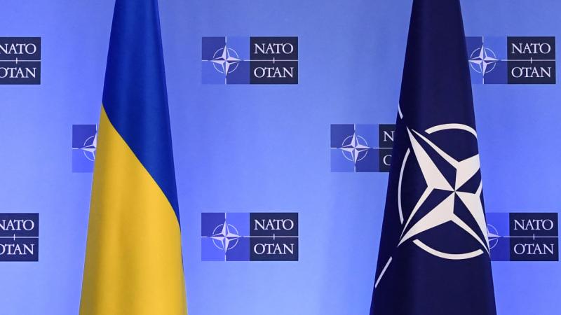 image-nato-ukrayna-afp-1748648_1