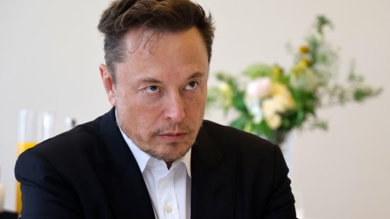 image-elon-musk-ihs-2105717_1