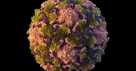 image-polio-virus-ap-1895138_1