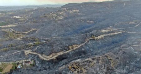 image-turkey-wildfire