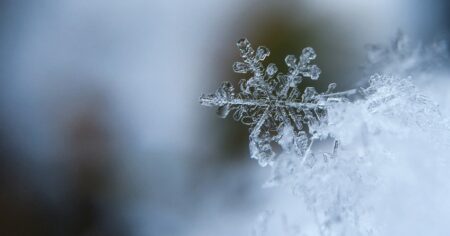 image-6eb6b01b-a1bd-39f1-9f23-f9bbb1428c8e_850