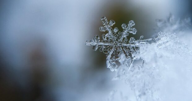 image-6eb6b01b-a1bd-39f1-9f23-f9bbb1428c8e_850