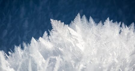 image-7a5a3cc2-725e-3b71-978c-727af3f4841d_850