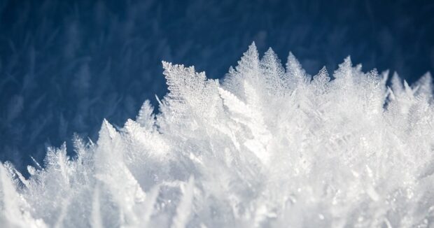 image-7a5a3cc2-725e-3b71-978c-727af3f4841d_850