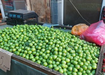 Pomidor 5, xiyar 2 manat – Bahalıq meyvə-tərəvəzi də dadından saldı – Reportaj, FOTOLAR