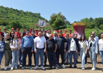 “Azerçay” çay plantasiyalarına mediatur təşkil edib FOTO