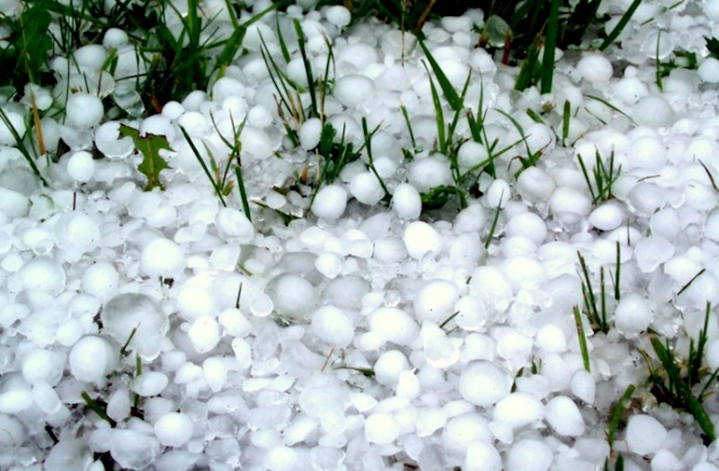 Zaqatalaya dolu yağıb