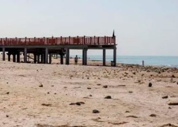 Xəzər dənizində yaradılan süni torpaq sahələrinin icarəsi ilə bağlı yeni sənədlər müəyyənləşib