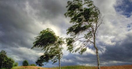 image-1595402326_kulek