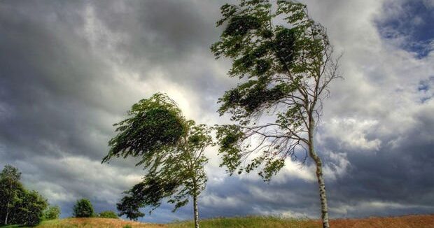 image-1595402326_kulek