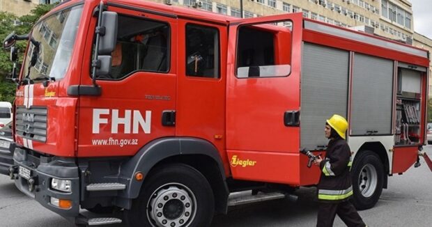 image-fhn