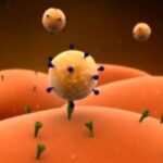 image-virus-1829702_1