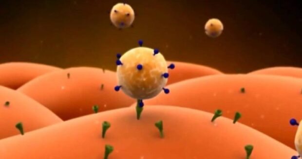 image-virus-1829702_1
