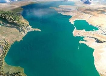 Xəzərin sahilində 117 ölü suiti tapıldı