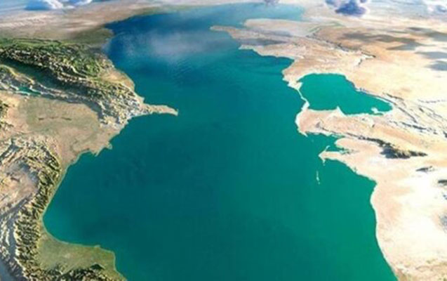 Xəzərin sahilində 117 ölü suiti tapıldı