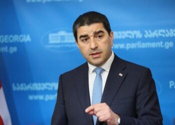Bakı və İrəvan doğru siyasət yürüdür – Papuaşvili