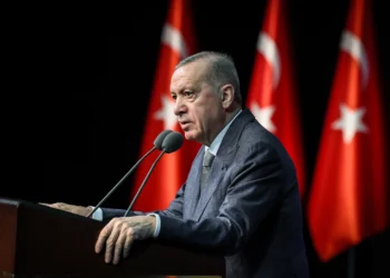 Ərdoğan: Gürcüstanda qəzaya uğrayan hərbi təyyarənin qalıqları üçün axtarışlar davam edir