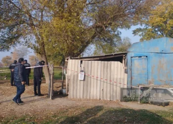 Oğuzda 47 yaşlı qadın qətlə yetirilib, oğlu saxlanılıb
