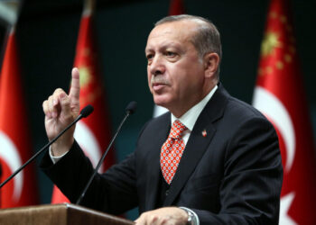 Türkiyə Prezidenti: Gürcüstanda qəzaya uğrayan təyyarənin qara qutusu tapılıb, araşdırma başlayıb
