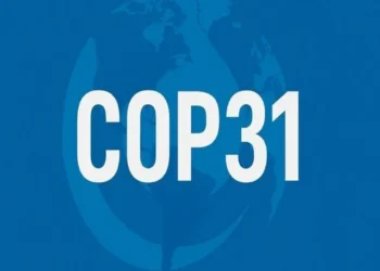 COP31-lə bağlı vacib missiyalar Azərbaycana həvalə olunub