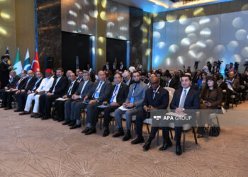 Bakıda D-8 Media Forumu keçirilir
