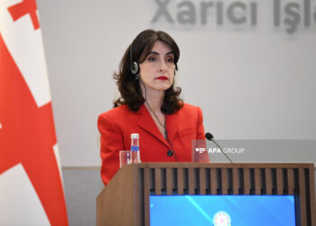 XİN rəhbəri: Gürcüstanın ABŞ-ın gündəmində o qədər də vacib yer tutmadığını görürük