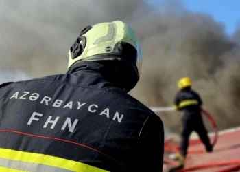 Azərbaycan FHN ehtiyac yaranacağı halda Gürcüstanda xilasetmə əməliyyatlarına cəlb ediləcək