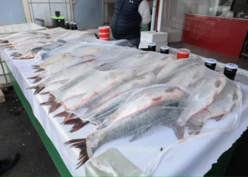 AQTA “Kəndli” bazarında nöqsanlar aşkarlayıb