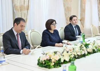 Slovakiya səfiri Sahibə Qafarova ilə görüşdən paylaşım edib