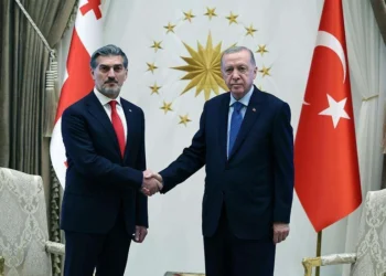 Türkiyə və Gürcüstan prezidentləri təyyarə qəzası ilə bağlı son durumu müzakirə ediblər