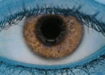 Yeni kök hüceyrə transplantasiyası əsaslı müalicə görmə itkisini geri qaytarır