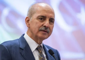 TBMM sədri: Təyyarənin qəzaya uğradığı yerdə axtarış-xilasetmə işlərini yaxından izləyirik