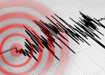 Yaponiyanın şimalında 7,2 bal gücündə zəlzələ baş verib