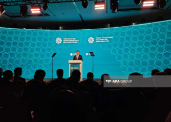 MEDİA-nın İcraçı direktoru: Türk dövlətləri ilə birgə əməkdaşlığa hazırıq