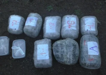Ötən gün 24,6 kiloqramdan artıq narkotik aşkarlanıb