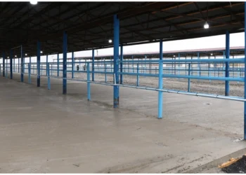 Bərdə heyvan satışı bazarının fəaliyyəti bərpa edilib