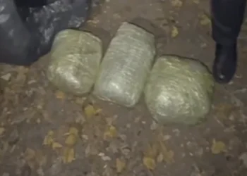 Bakıda narkokuryerlikdə şübhəli bilinən şəxsdə 13 kiloqram narkotik aşkarlanıb