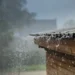 Yağıntılı hava şəraiti dekabrın 5-dək davam edəcək