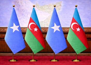 Somali ərazi bütövlüyünə dəstəyə görə Azərbaycana təşəkkür edib
