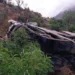 Məktəb avtobusu qəzaya uğrayıb: 17 ölü, 20 yaralı