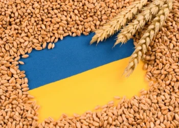 Moldova Ukraynadan taxıl idxalına qoyulan məhdudiyyəti aradan qaldıracaq