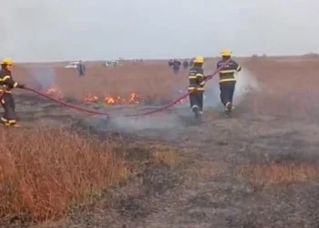 FHN Cəlilabadda açıq ərazidə baş verən yanğınla bağlı məlumat yayıb