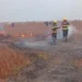FHN Cəlilabadda açıq ərazidə baş verən yanğınla bağlı məlumat yayıb
