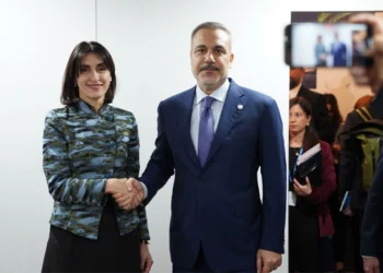 Gürcüstan və Türkiyə Orta Dəhliz çərçivəsində əməkdaşlığı müzakirə ediblər