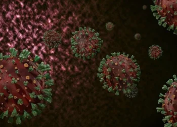 Mutasiyaya uğramış H3N2 virusunun artması: ÜST xəbərdarlıq edir