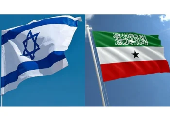 Türkiyə, Misir, Somali və Cibuti İsrailin Somalilendi tanımaq qərarını pisləyiblər
